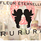 Fleur eternelle RURURA