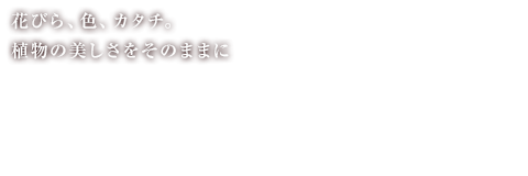 花びら、色、カタチ。植物の美しさをそのままに