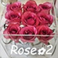 Rose×２