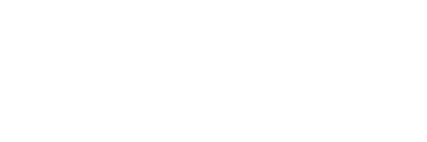 お気に入りの花。あるいは、ドラマティックな美しい1本を。