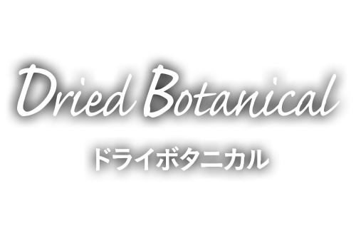 ドライボタニカル [dried-botanical]
