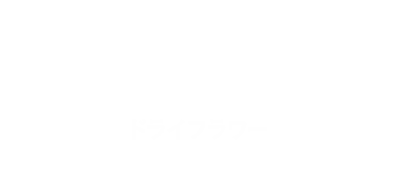 ドライフラワー [dried-flower]