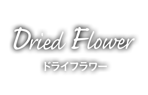 ドライフラワー [dried-flower]